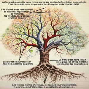 Apprenez à reconstruire votre terrain biologique à travers l’alimentation et les plantes